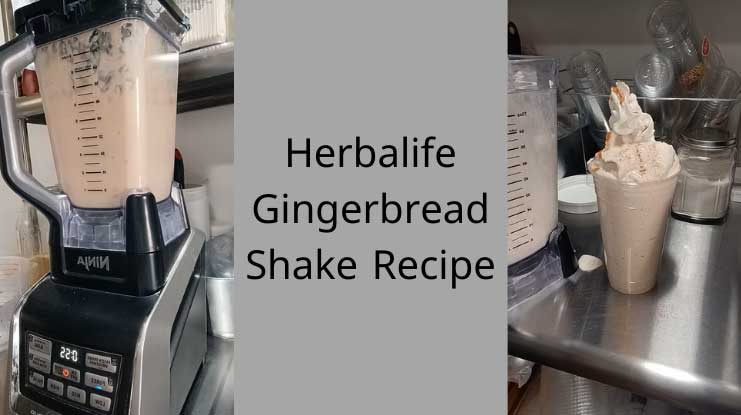 Herbalife Gingerbread Shake Recipe
